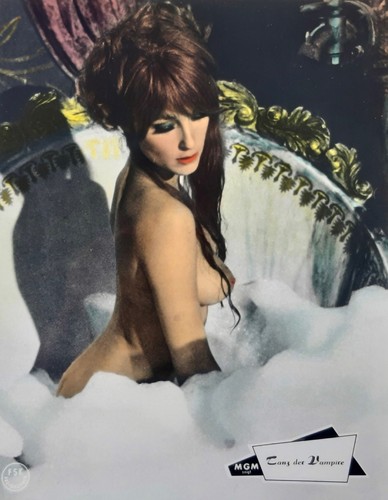 Tanz der vampire - vampire, tate